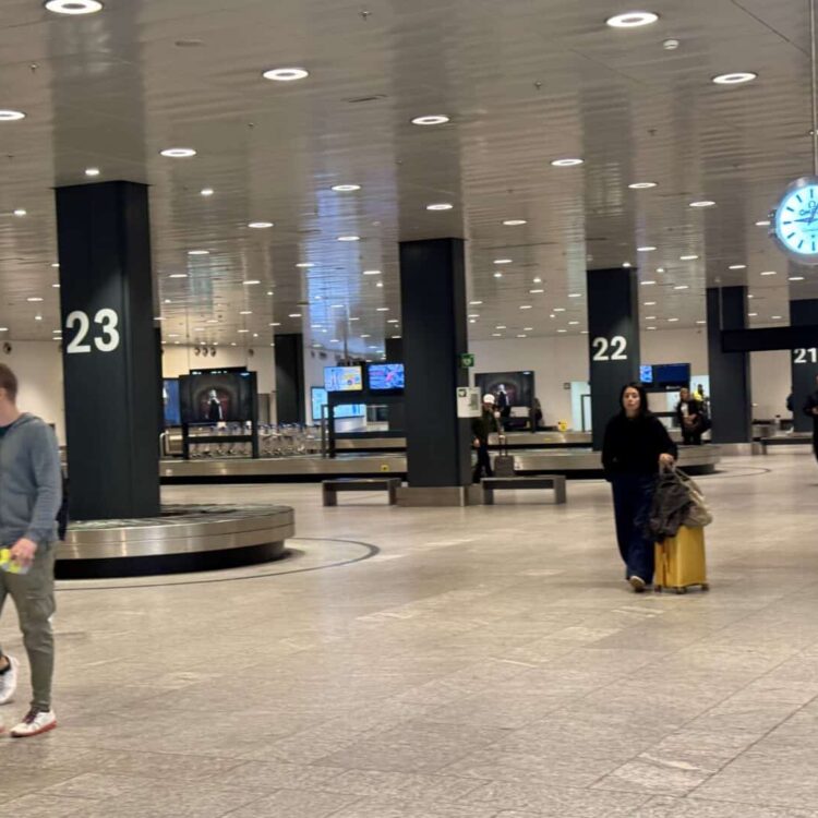 Airport baggage claim area with travelers, luggage, and digital display screens.